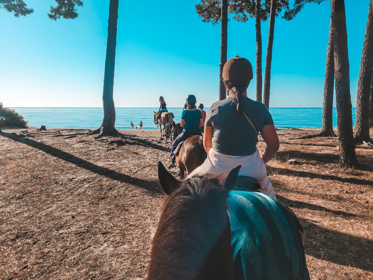 Balade cheval ghisonaccia Balade cheval ghisonaccia